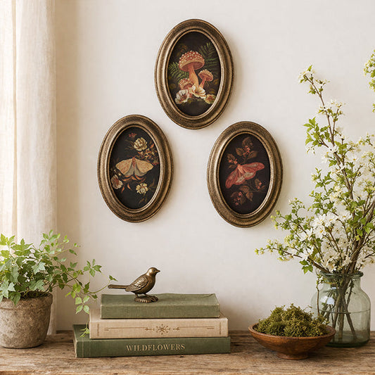 Botanical Moth & Mushroom Framed Wall Art, Set of 3