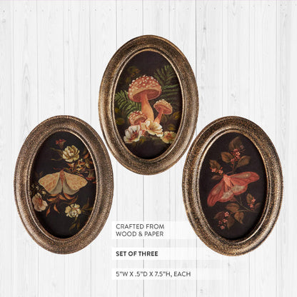 Botanical Moth & Mushroom Framed Wall Art, Set of 3