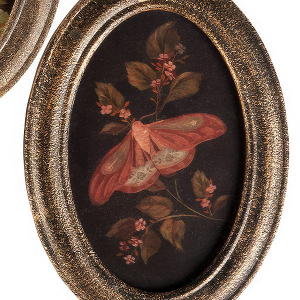 Botanical Moth & Mushroom Framed Wall Art, Set of 3