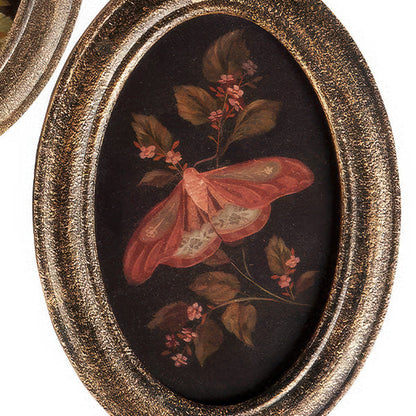 Botanical Moth & Mushroom Framed Wall Art, Set of 3