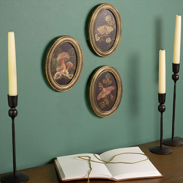 Botanical Moth & Mushroom Framed Wall Art, Set of 3