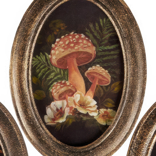 Botanical Moth & Mushroom Framed Wall Art, Set of 3