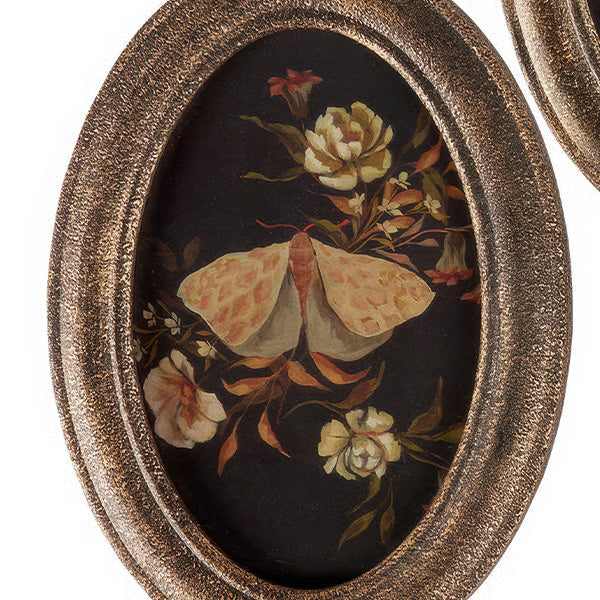 Botanical Moth & Mushroom Framed Wall Art, Set of 3